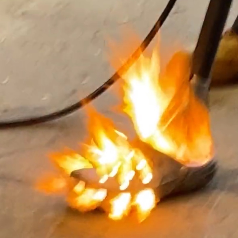 Meet your Posher, Jenna